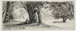 The Holly Field