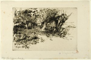 The Willows