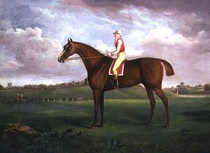 Jockey Up