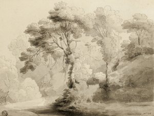 Wooded Landscape