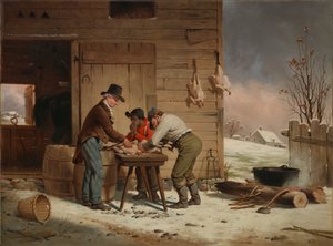 Preparing for Christmas Plucking Turkeys