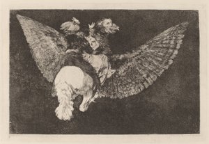 Flying Folly
