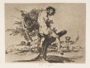 Plate 37 from 