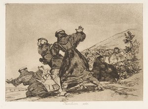Plate 43 from 