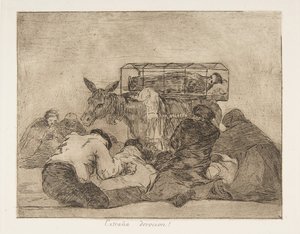 Plate 66 from The Disasters of War