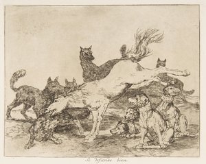 Plate 78 from 