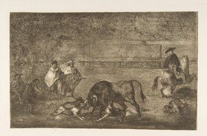 The Dogs Let Loose on the Bull
