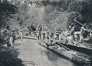 Exploration of the River of St. Anastacio by Francisco Henszler