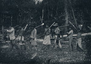 Guarani Indians Returning from a Hunt by Francisco Henszler