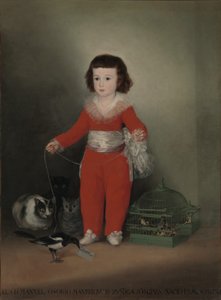 Don Manuel Osorio Manrique de Zuniga by Francisco de Goya