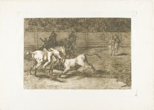 Mariano Ceballos, alias the Indian, kills the bull from his horse, plate 23 from The Art of Bullfighting by Francisco Jose de Goya y Lucientes