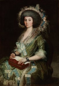 Portrait of Dona Manuela Camas by Francisco de Goya