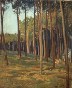 The Red Pine Forest by Francisco Llorens Diaz