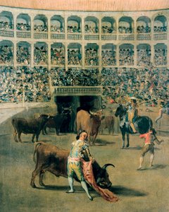 Bullfighting with a Cape