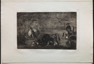 Bullfights: The Dog Let Loose on the Bull by Francisco de Goya