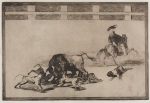 Bullfights: They Loose Dogs on the Bull by Francisco de Goya