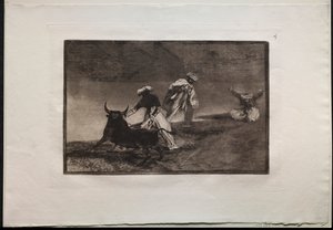 Bullfights: They Play Another with the Cape in an Enclosure