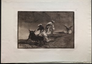 Bullfights: They Play Another with the Cape in an Enclosure