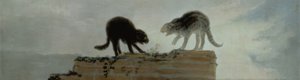 Cats Fighting