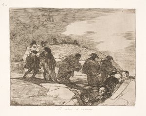 They Do Not Know Where (70) by Francisco de Goya