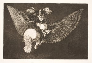 The Flying Fool (Renounce the Friend Who Hides You Under His Wings and Bites You with His Beak)