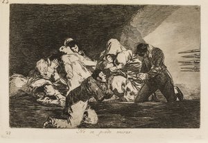 It is Not to Be Seen (26) by Francisco de Goya