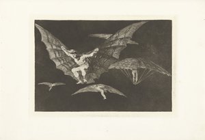 A Way of Flying by Francisco de Goya