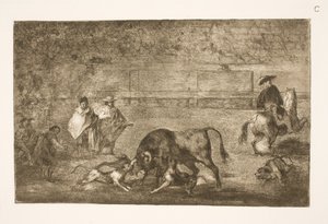 Dogs Set on the Bull by Francisco de Goya