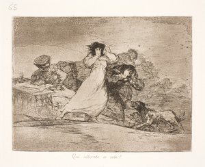 What Does This Confusion Mean? (65) by Francisco de Goya