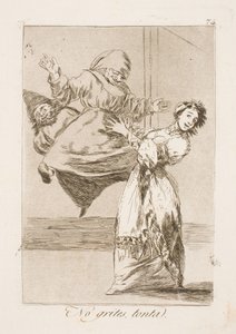 Stop Screaming, You Fool! by Francisco de Goya
