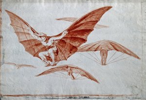 Ways of Flying by Francisco de Goya
