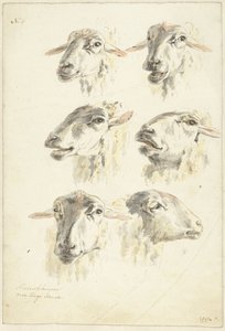 Study Sheet with Six Sheep Heads by Franciscus Andreas Milatz (attributed to)