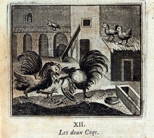 Both Cocks by Francois Chauveau
