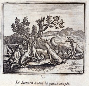Illustration from the 