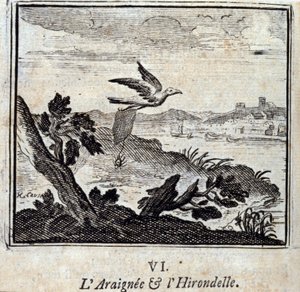 The Spider and the Swallow (Illustration by François Chauveau) by Francois Chauveau