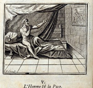 The Man and the Flea by Francois Chauveau