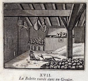 The Weasel Entered a Granary