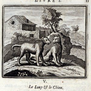 The Wolf and the Dog