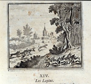 Rabbits (Illustration by François Chauveau) by Francois Chauveau