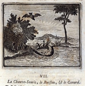 The Bat, the Bush and the Duck by Francois Chauveau