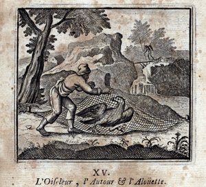 The Birdbird the Around and the Alouette (Illustration by François Chauveau)