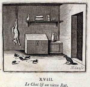 The Cat and an Old Rat