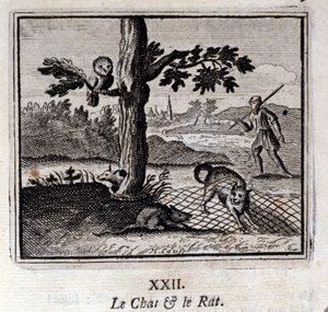 The Cat and the Rat