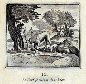 The Deer seeing himself in the water. Fables by Jean de La Fontaine. Illustration by François Chauveau by Francois Chauveau