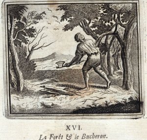 The Forest and the Woodcutter