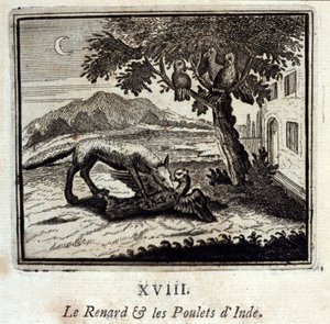 The Fox and the Chickens of India by Francois Chauveau