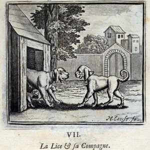 The Lice and Her Companion