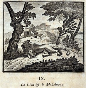 The Lion and the Flycatcher by Francois Chauveau