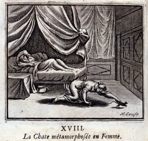 The Cat metamorphosed into a Woman (Illustration by François Chauveau)