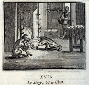 The Monkey and the Cat by Francois Chauveau